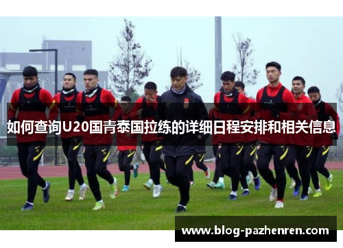 如何查询U20国青泰国拉练的详细日程安排和相关信息