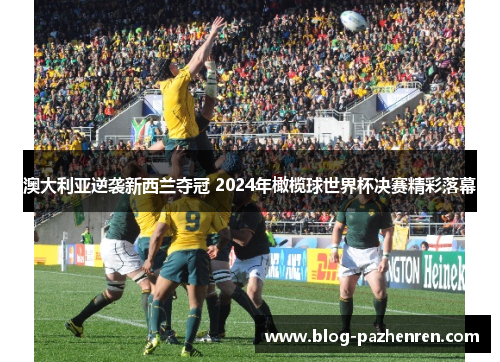 澳大利亚逆袭新西兰夺冠 2024年橄榄球世界杯决赛精彩落幕