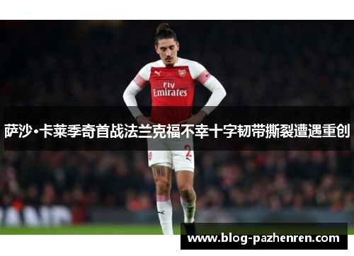 萨沙·卡莱季奇首战法兰克福不幸十字韧带撕裂遭遇重创