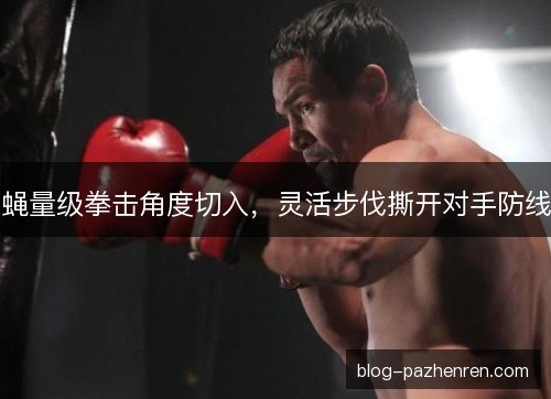 蝇量级拳击角度切入，灵活步伐撕开对手防线